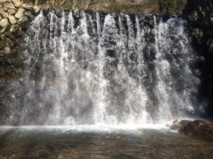 入間川　大鳩園キャンプ場